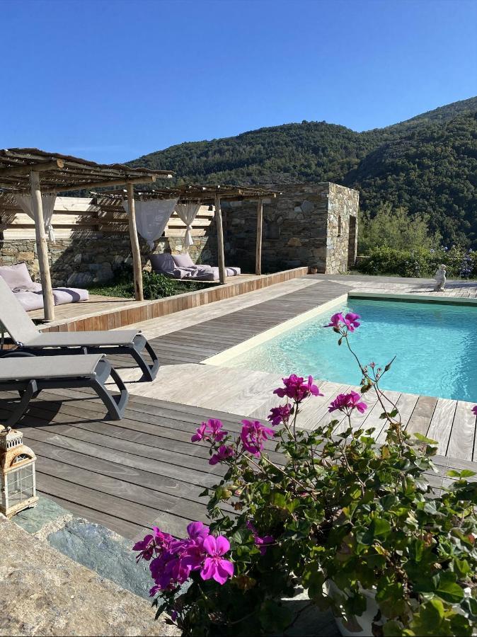 Chambres D'Hotes Et Studios De Charme - A Mandria Murato Exterior photo